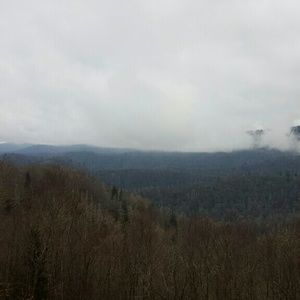 Meet your Posher, Mona