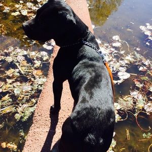 Meet your Posher, Gabe