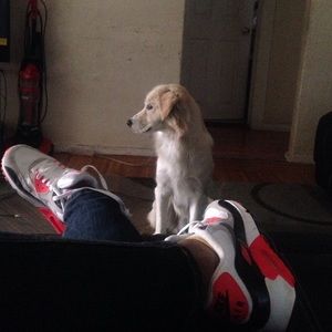 Meet your Posher, Brandy