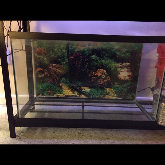 Fish tank