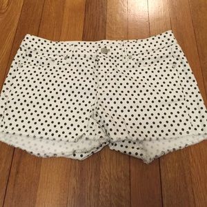 EUC Gap 1969 Summer Cut-Off Shorts 25 Polka Dots