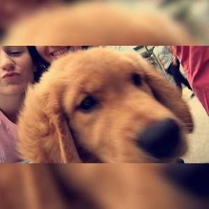 Meet your Posher, Ashton