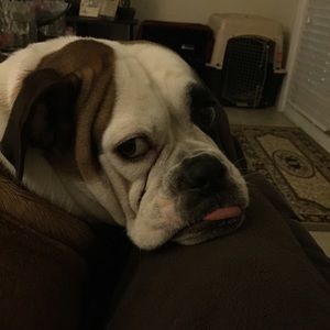 Meet your Posher, Kim