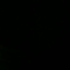 Meet your Posher, Kenya