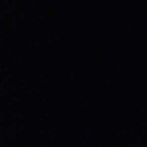 Meet your Posher, Molly