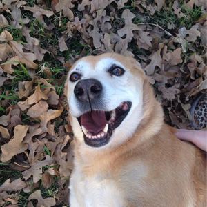 Meet your Posher, April