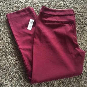 Maroon Pixie Pants