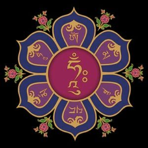 Meet your Posher, Kristine