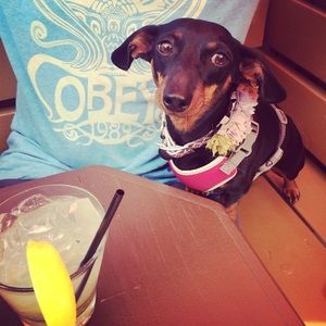 Meet your Posher, Monica