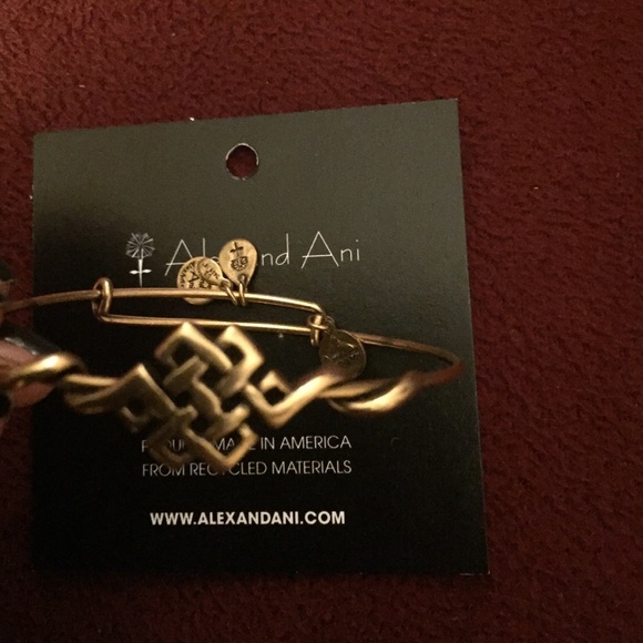 Alex & Ani bracelet.