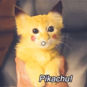 Meet your Posher, Nathaniel