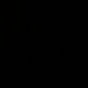 Meet your Posher, Jessann