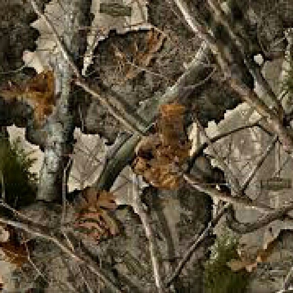 Meet your Posher, Dakota - Picture 1 of 1