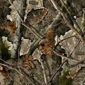 Meet your Posher, Dakota