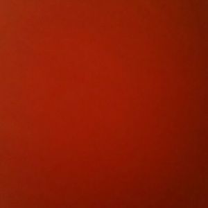 Meet your Posher, Leisha