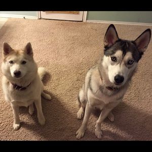 Meet your Posher, Connor