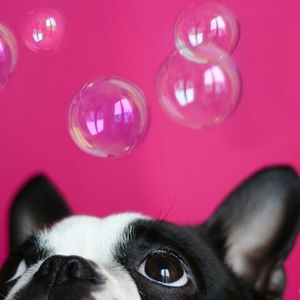 Meet your Posher, Andre