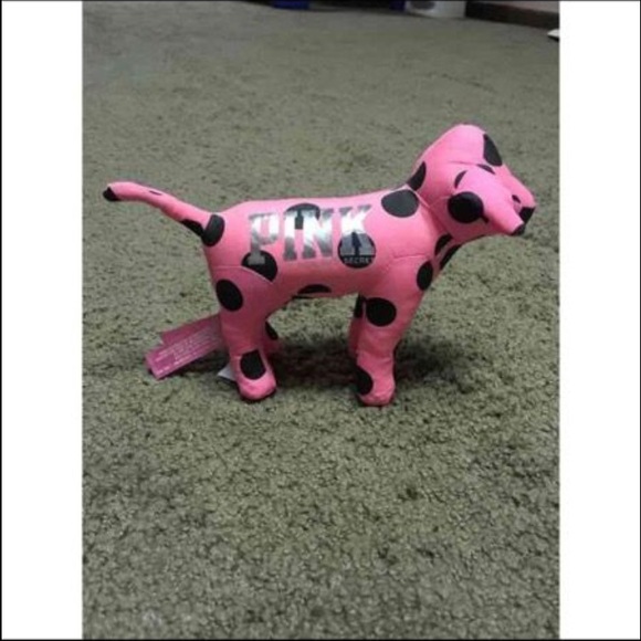 VS PINK dog