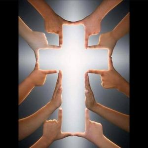 Meet your Posher, Terri