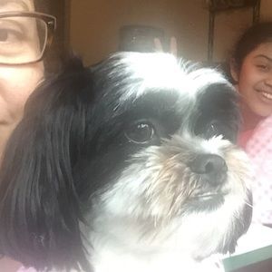 Meet your Posher, Norma