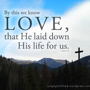 Meet your Posher, Norah