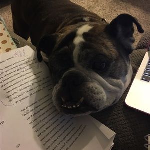 Meet your Posher, Tori