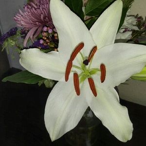 Meet your Posher, Andrea