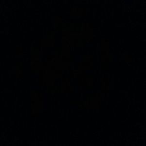 Meet your Posher, Rosie