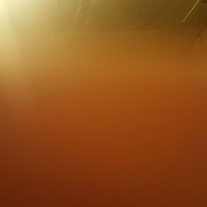 Meet your Posher, Lizzy