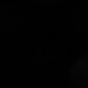 Meet your Posher, Lynn