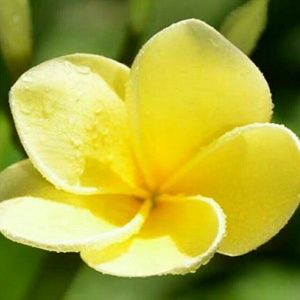 Meet your Posher, Cathy