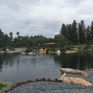 Meet your Posher, Joy