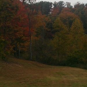 Meet your Posher, Wanda