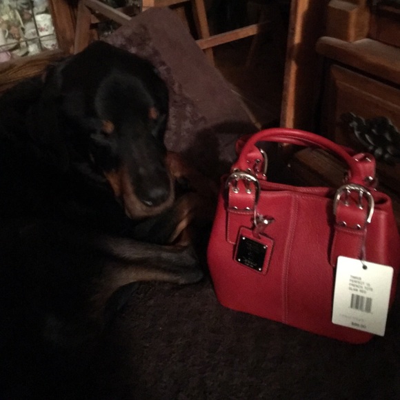 Tignanello red leather French tote - Picture 3 of 4