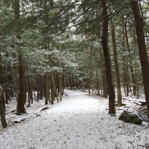 Meet your Posher, Jada