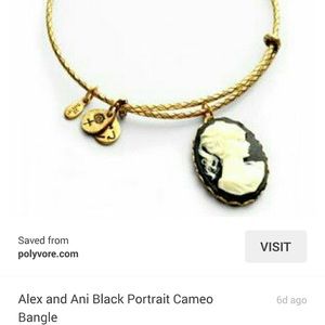 IN SEARCH OF Alex and Ani BLACK Cameo