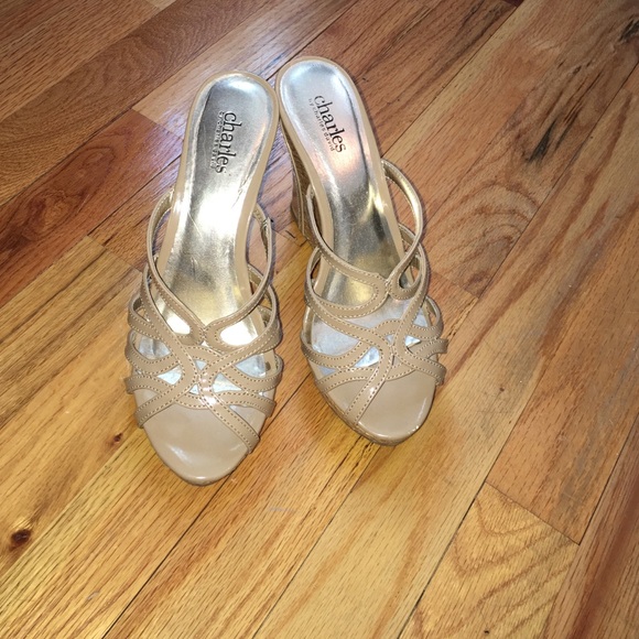 Charles David wedges size 6