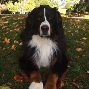 Meet your Posher, Cathy