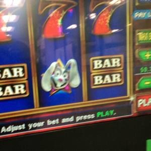 Meet your Posher, Zoe