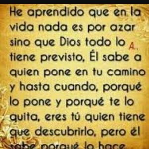 Meet your Posher, Francisca