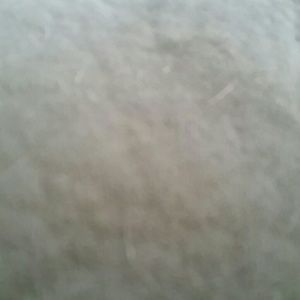 Meet your Posher, Lora