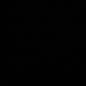 Meet your Posher, Sharwana