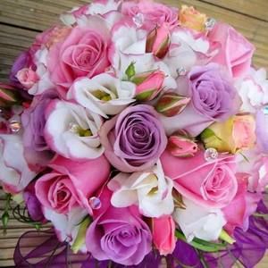 Meet your Posher, Layla