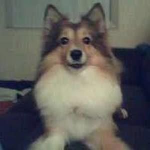 Meet your Posher, Valerie