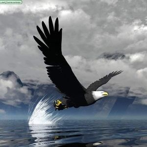 Meet your Posher, Ines