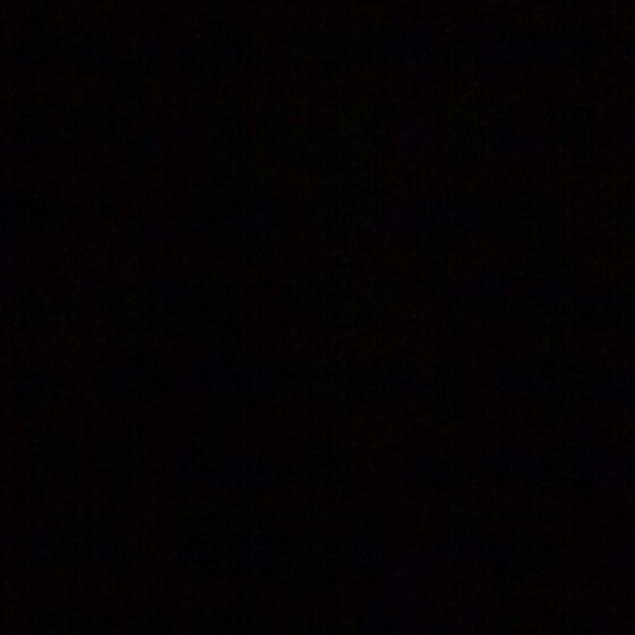 Meet your Posher, Addy - Picture 1 of 1