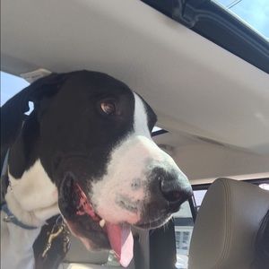 Meet your Posher, Melissa