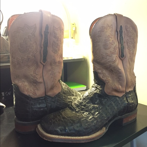 Dan Post Boots - Gator - Picture 3 of 3