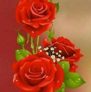 Meet your Posher, Irelia