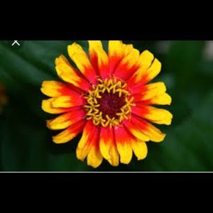 Meet your Posher, Talia